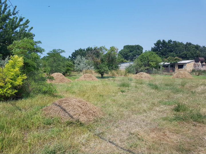 Участок 23 сот. (ИЖС)