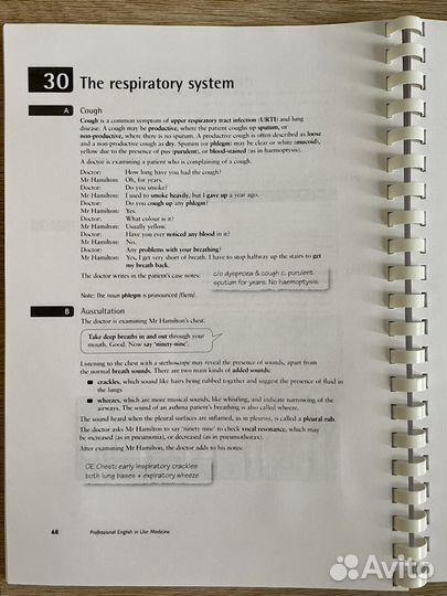 Professional English in Use