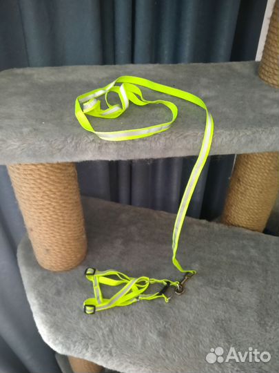 Шлейка для кошки или маленькой собаки