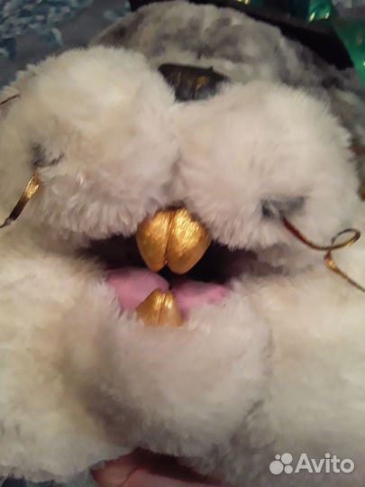 Фурсьют Вислоухого кролика