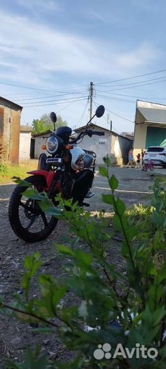 Продам Альфу (Alpha FX MAX 125cc)