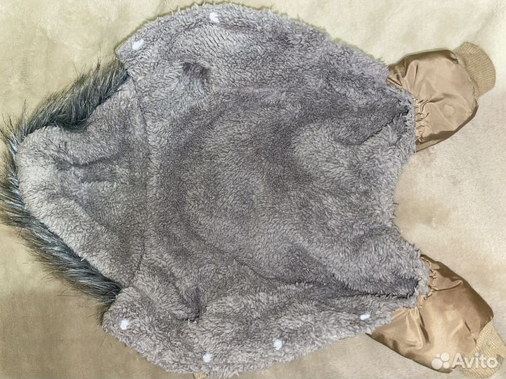 Одежда для собак мелких пород