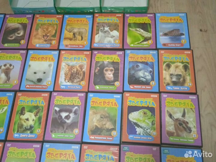 Видео - Диски про животных