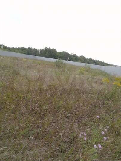 Участок 14,5 сот. (СНТ, ДНП)