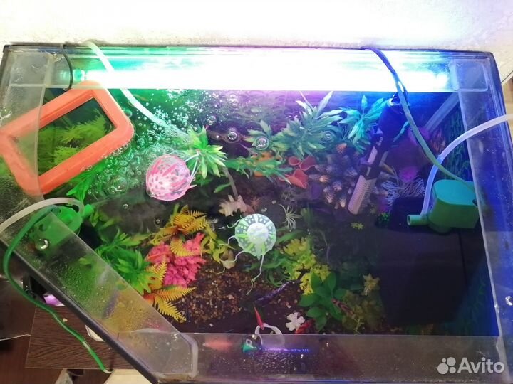 Аквариум