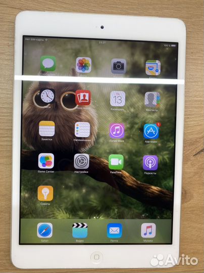 iPad mini 2