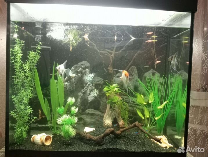 Продам аквариум