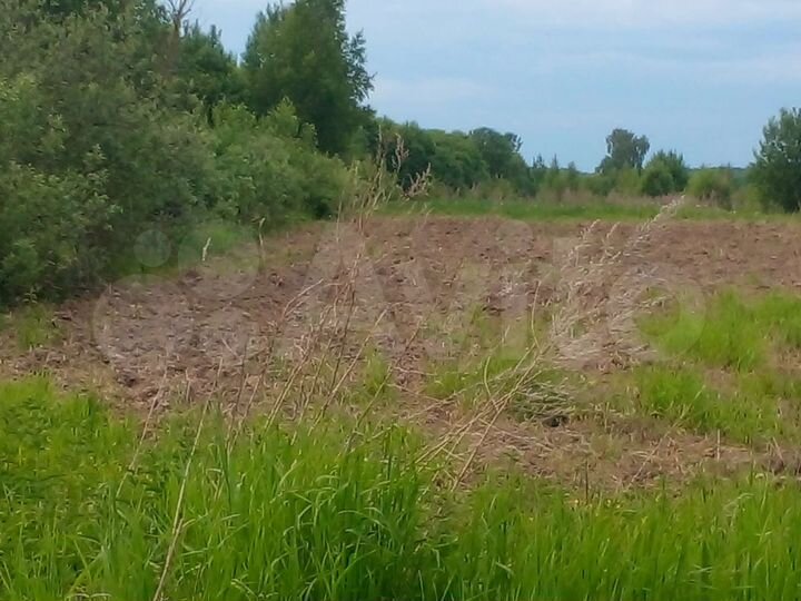 Участок 26 сот. (ИЖС)