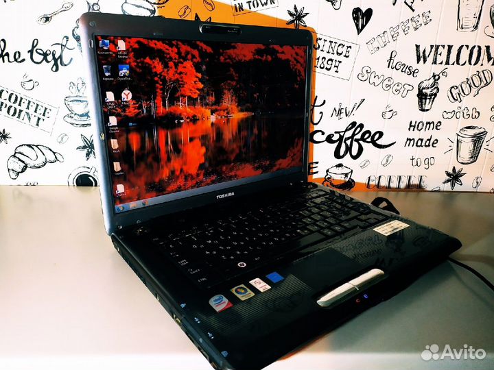 Toshiba A300-1GM - 2 Ядра \ 2 Озу \ Дискретное вид