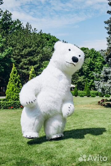 Белый мишка поздравление