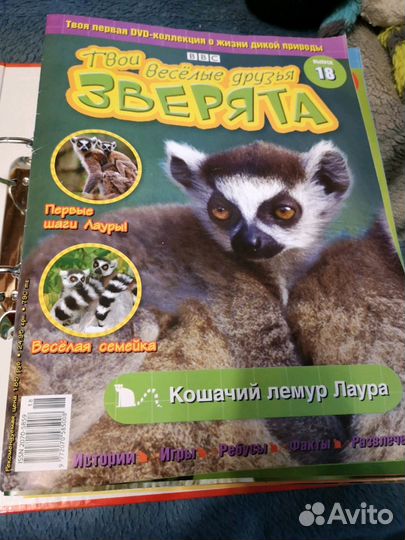 Диски обучающие