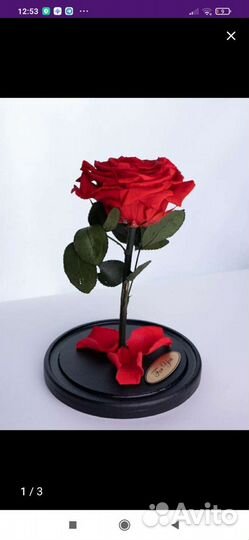 Роза в колбе King