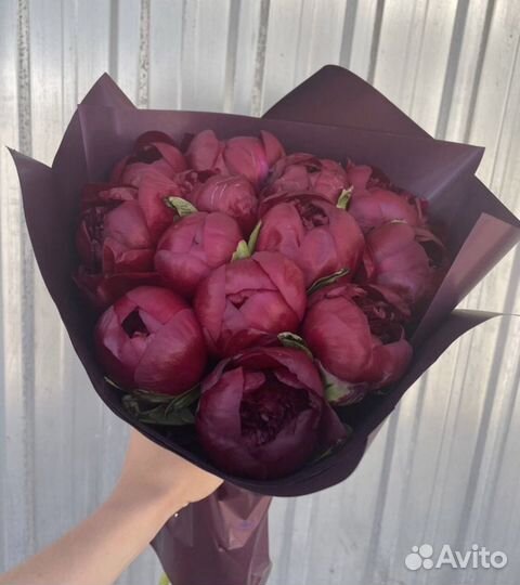 Цветы Букеты Пионы 11 15 21 25 31 35 51