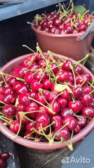 Черешня оптом