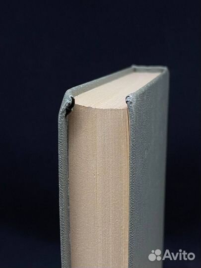 Степан Разин. Книга 2