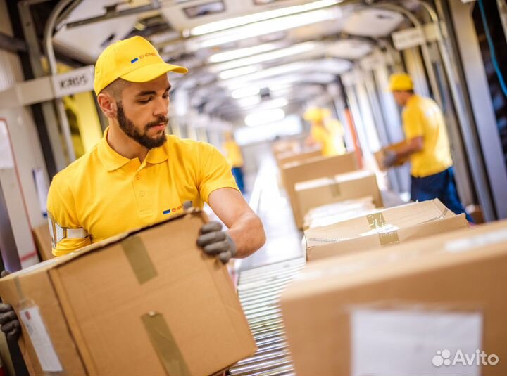 Грузчик/Бесплатное жильё/Еженедельные авансы