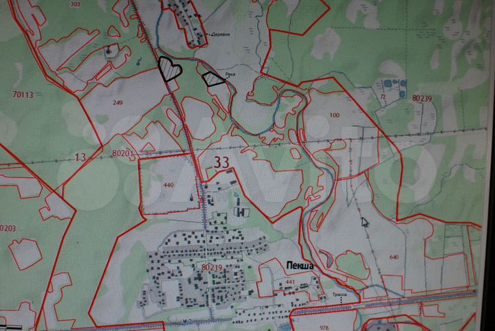 Участок 3,9 га (СНТ, ДНП)