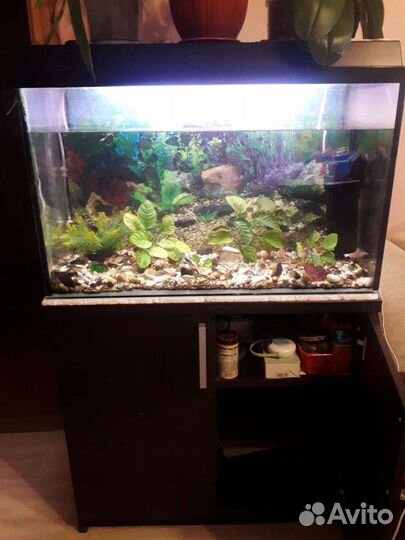 Аквариум