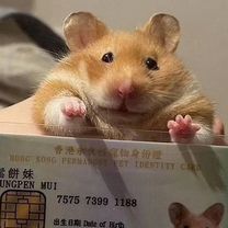 Два в одном пермь. Два в одном пермь. Два в одном пермь. Два в одном пермь. Два в одном пермь.