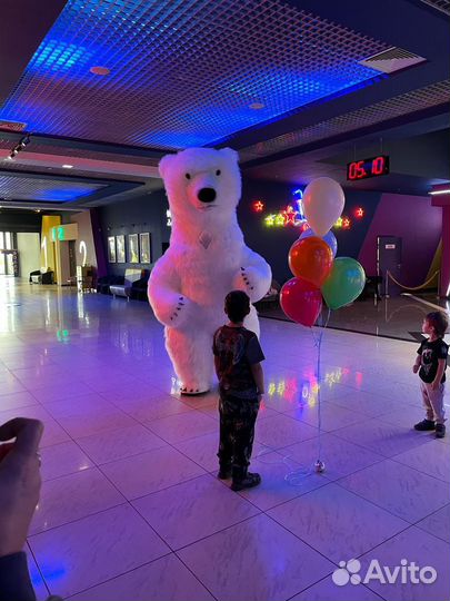 Белый медведь поздравление