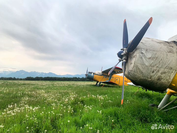 Самолет Ан2