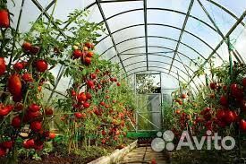 Теплица арочная