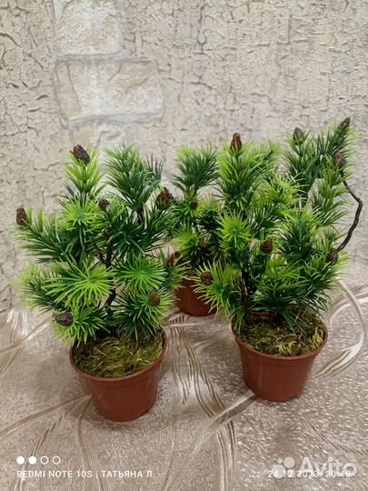 Сувенир ёлочка-банзай