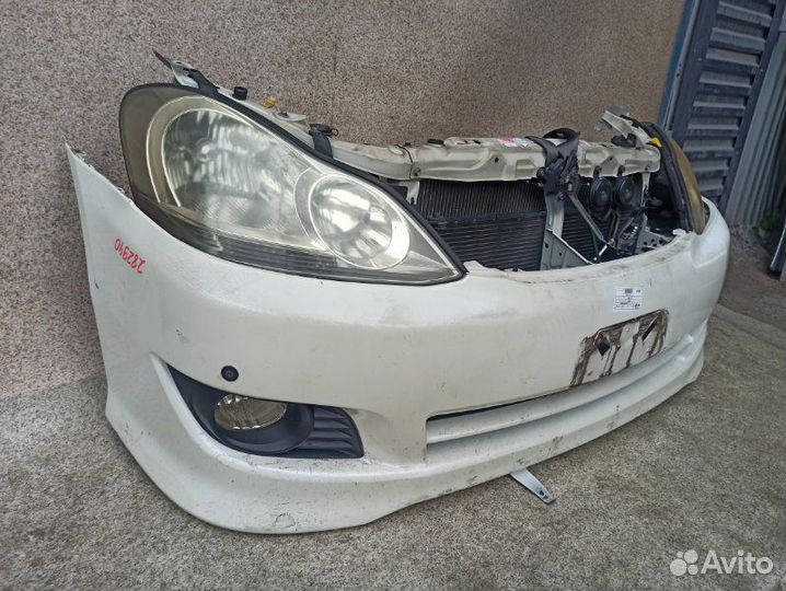 Ноускат toyota ipsum под заказ