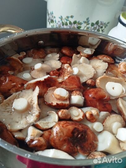Грибы маринованные