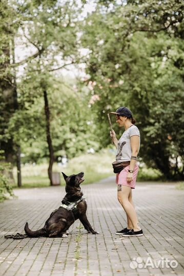 Бобби ищет дом