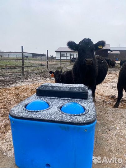 Поилка для крс пластиковая