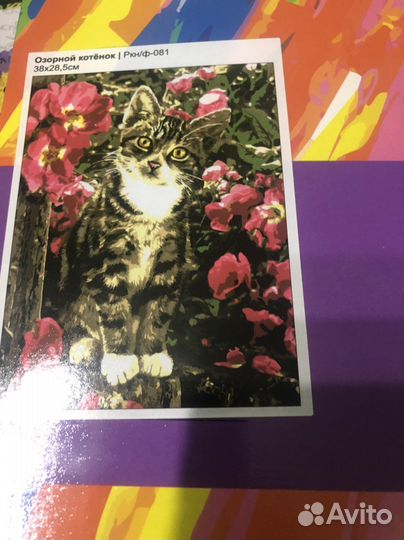 Картина по номерам. Комплект 2 шт