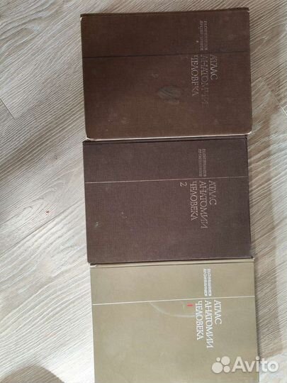 Атлас Анатомии человека Синельников