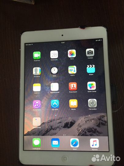 iPad mini