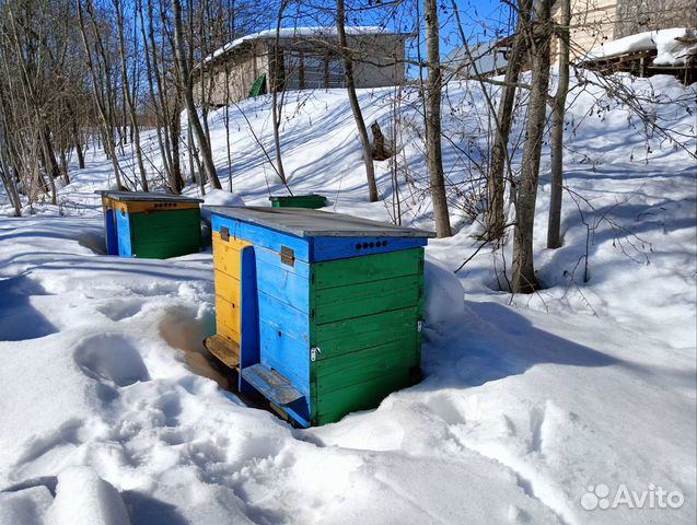 Улей лежак своими руками. Материалы, особенности конструкции