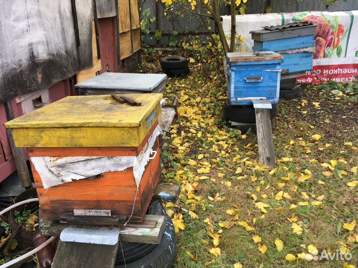 Ульи для пчел