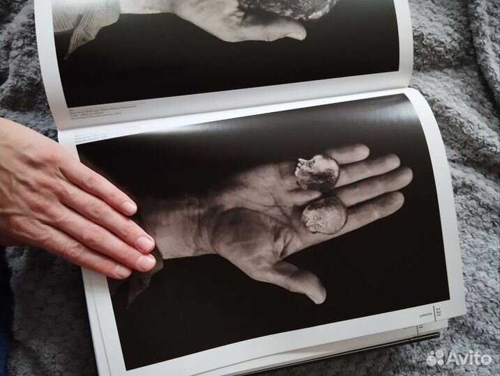 Снег на траве. Юрий Норштейн