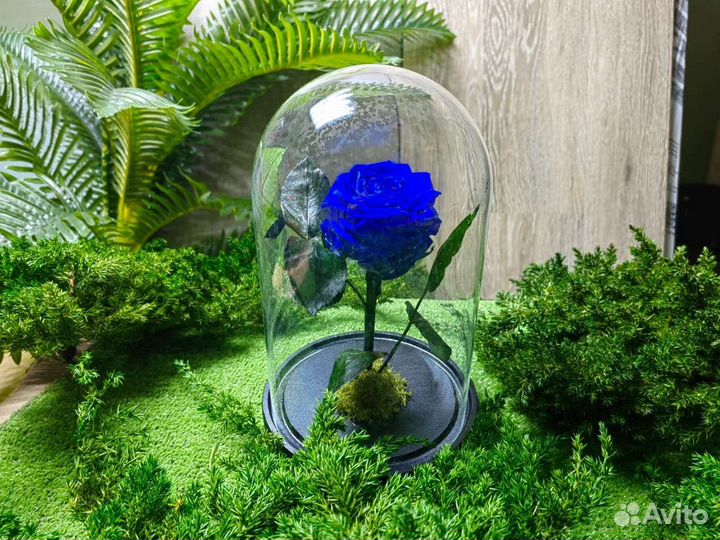 Голубые, синие розы в колбе, вазе, букете, от