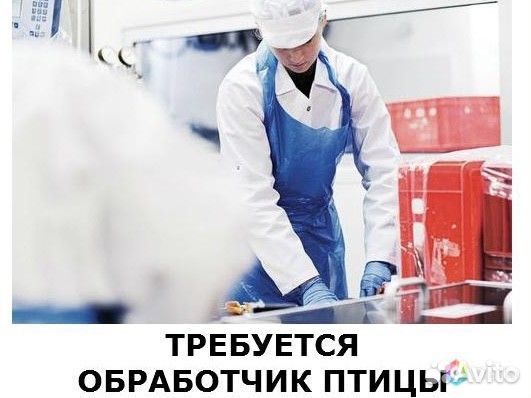 Обработчик птицы вахта г. Брянск