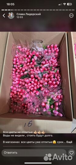 Тюльпаны на 8 марта