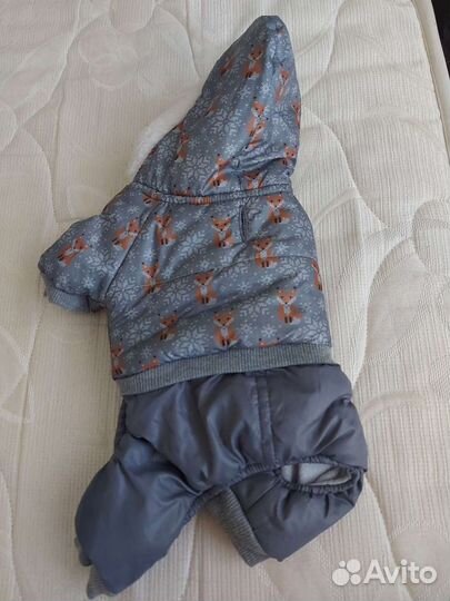 Комбинезон для чихуахуа