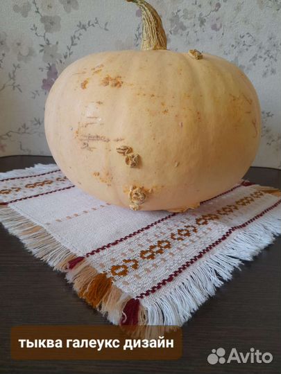 Тыква коллекционные семена