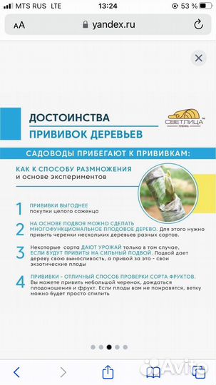 Лента прививочная