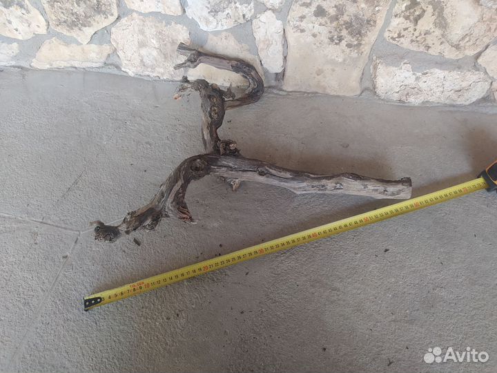 Виноградная лоза коряга