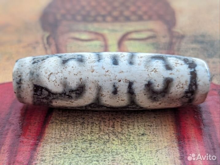 Дзи Насекомое