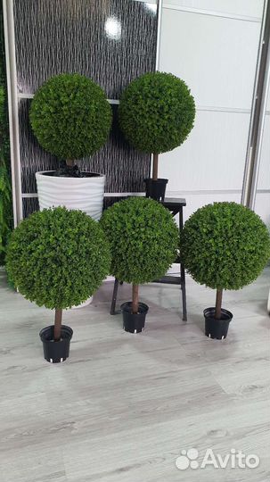 Искусственный самшит