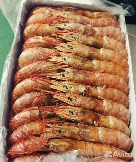 Лангустины креветки