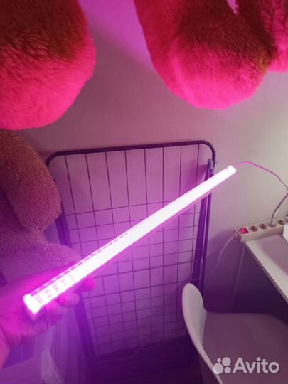 Фитолампа для растений