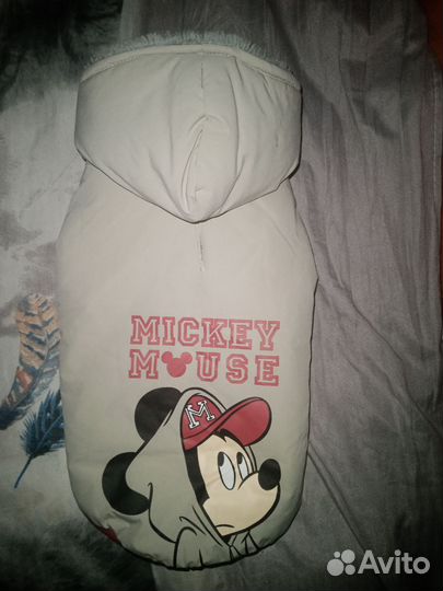 Курточка для собаки