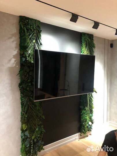 Озеленение помещений/ мох/ искусственные растения